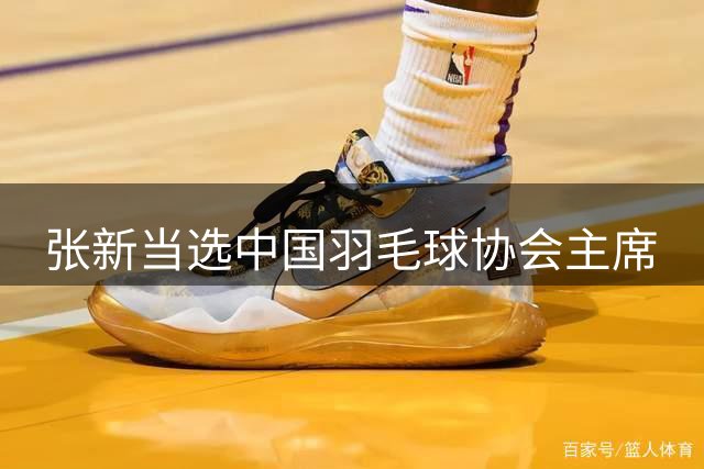 张新当选中国羽毛球协会主席